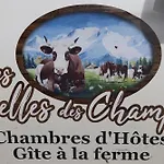 Chalet Petit Cosy Combloux