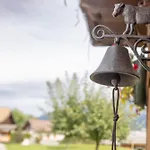 Petit Cosy Chalet