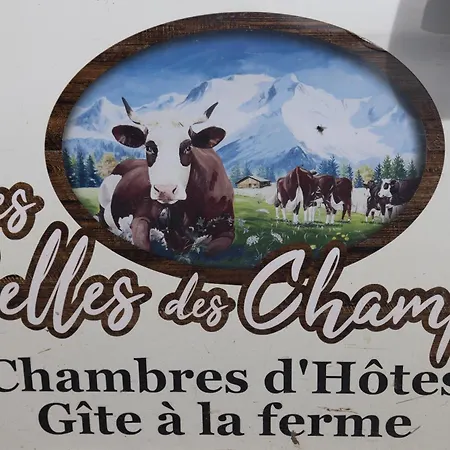Chalet Petit Cosy Combloux