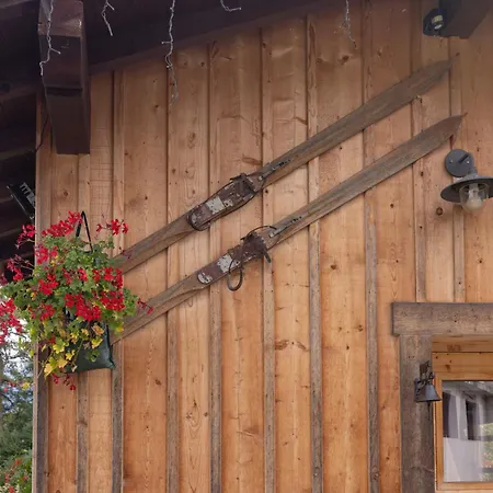 Chalet Petit Cosy