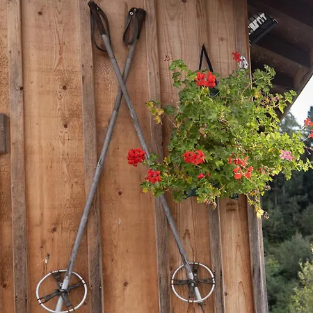Petit Cosy Chalet